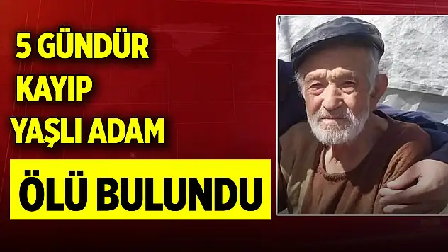 Kütahya'da 5 gündür kayıp yaşlı adam ölü bulundu