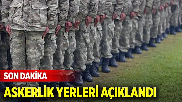 Son Dakika! Kasım 2024 celp dönemi askerlik yerleri açıklandı