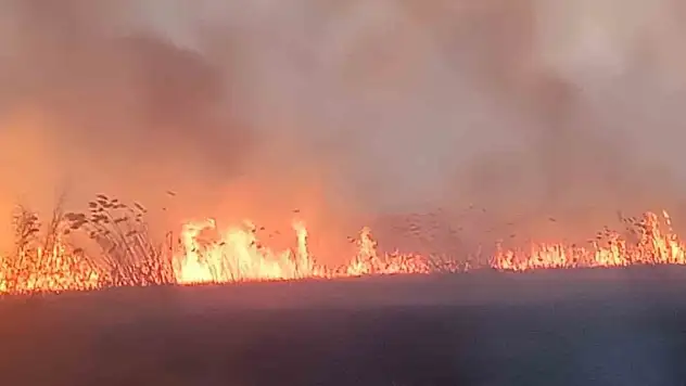 Konya-Afyonkarahisar sınırında yangın