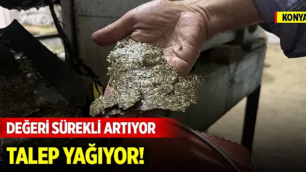 Konya'da değeri her geçen gün artan ürüne talep yağıyor