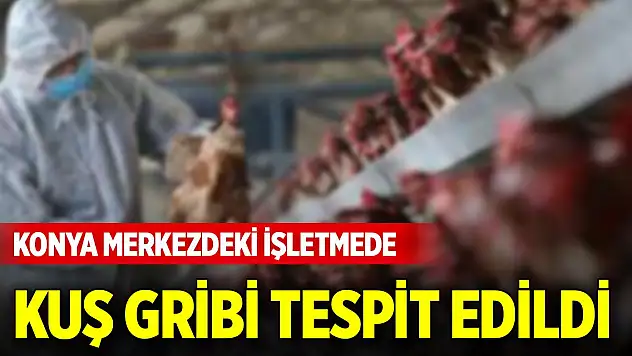 Konya merkezdeki işletmede 'kuş gribi' tespit edildi!