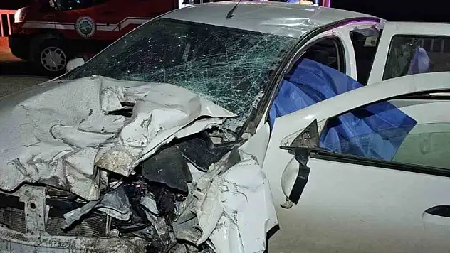 Iğdır'da otomobil bariyerlere çarptı: 1 ölü, 2 yaralı