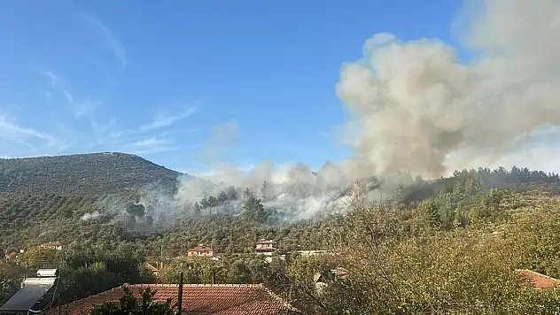 Muğla'da orman yangını