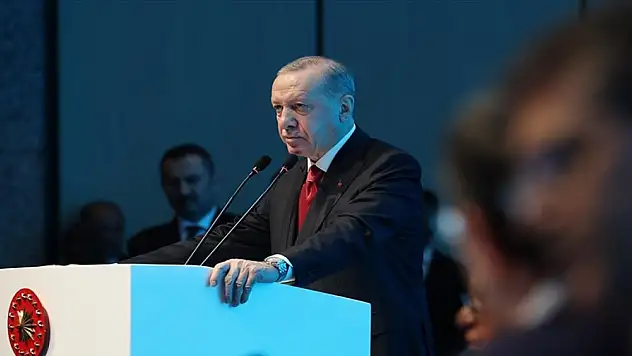 Cumhurbaşkanı Erdoğan'dan tüm ülkelere çağrı