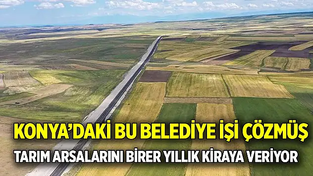 Konya'daki bu belediye işi çözmüş  Tarım arsalarını birer yıllık kiraya veriyor