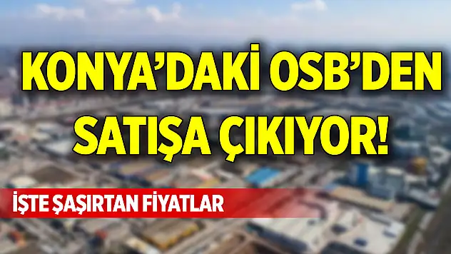Konya'daki OSB'den satışa çıkıyor! İşte şaşırtan fiyatlar