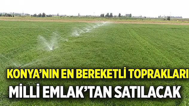 Konya'nın en bereketli toprakları  Milli Emlak'tan satılacak