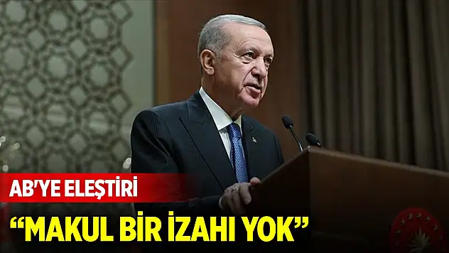 Cumhurbaşkanı Erdoğan'dan AB'ye eleştiri: Makul bir izahı yok