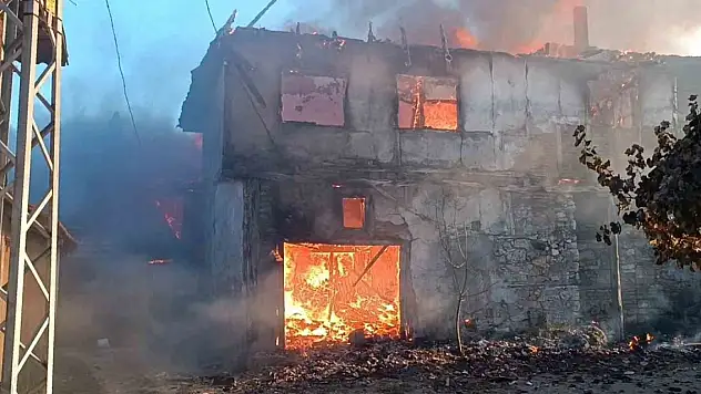 Kütahya'daki yangında 7 ev ve 4 hayvan barınağı kül oldu