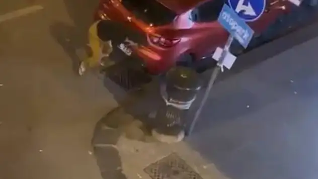 Kendi kendine çatışmaya girdi! Vuruldu, yere düştü