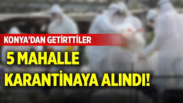 Konya'dan getirttiler, 5 mahalle karantinaya alındı!