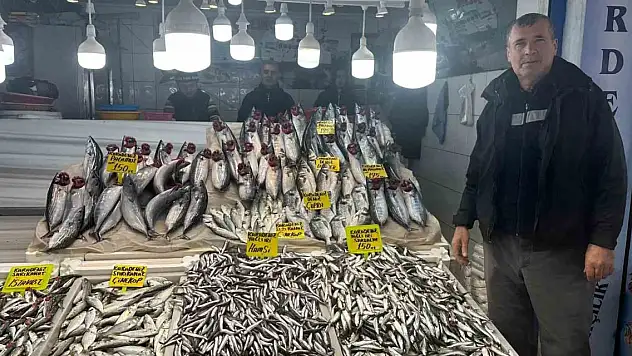Balık tezgahlarında bolluk