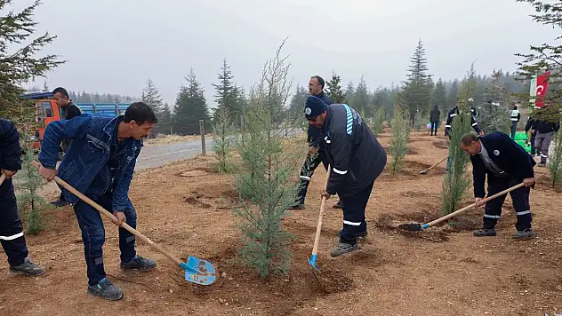 Konya Sille'de fidanlar toprakla buluştu