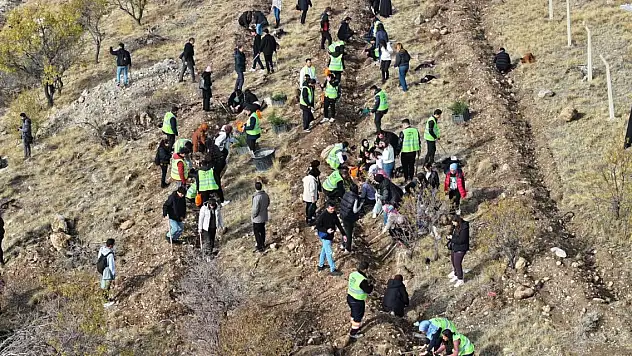 Konyalı üniversiteli gençler fidanları toprakla buluşturdu