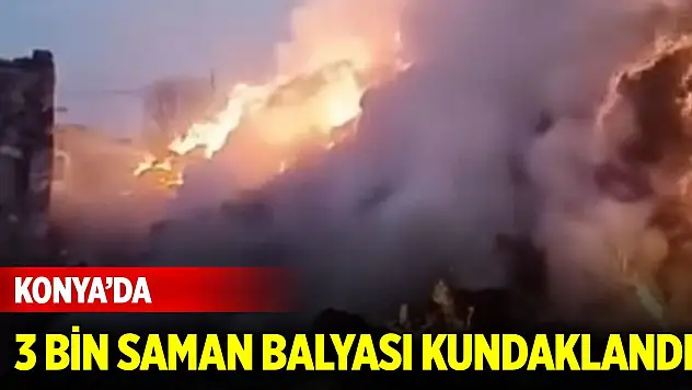 Konya'da 3 bin saman balyası kundaklandı