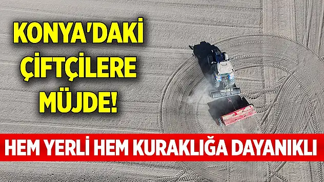 Konya'daki çiftçilere müjde! Hem yerli hem kuraklığa dayanıklı