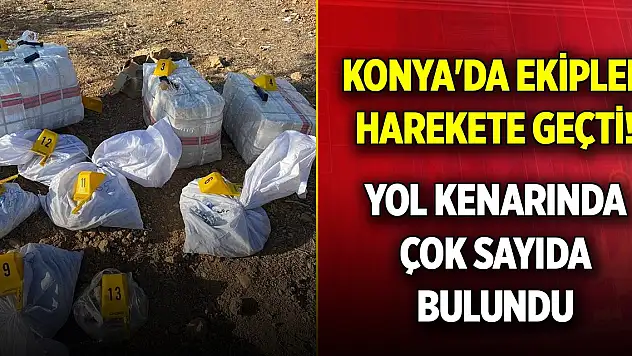 Konya'da ekipler harekete geçti! Yol kenarında çok sayıda bulundu