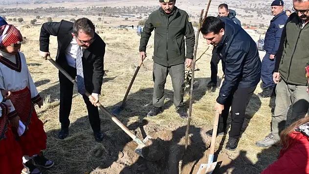 Karapınar Yeşilyurt'ta 500 adet ceviz fidanlığı oluşturuldu