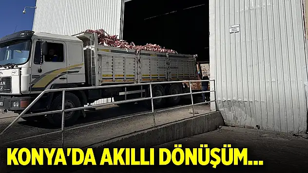 Konya'da akıllı dönüşüm... Hayvan kemikleri bakın ne işe yarıyor