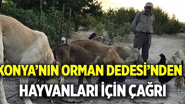 Konya'nın Orman Dedesi'nden  Hayvanları için çağrı!