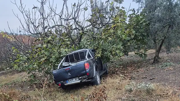 Bursa'da işçileri taşıyan kamyonet ağaca çarptı: 1 ölü, 7 yaralandı