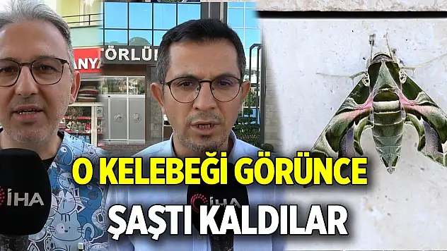 O kelebeği görünce şaştı kaldılar
