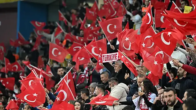 A Milli Futbol Takımı'mız Galler ile berabere kaldı