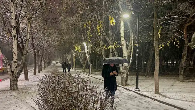 Erzurum'da kar yağışı etkili oluyor