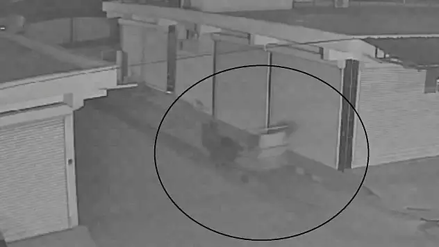 Akıl almaz olay at arabasıyla gelip, demir kapı çaldılar