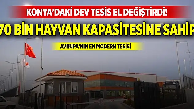 Konya'daki dev tesis el değiştirdi! 70 bin hayvan kapasitesine sahip