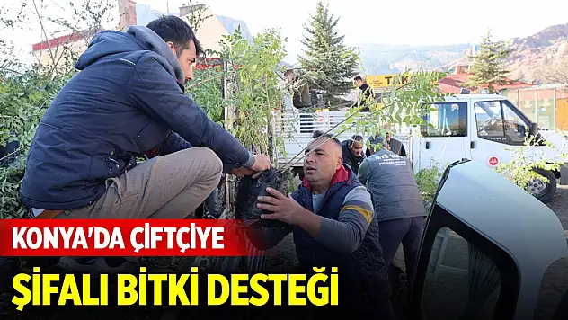 Konya'da çiftçiye su tasarrufu sağlayan şifalı bitki desteği