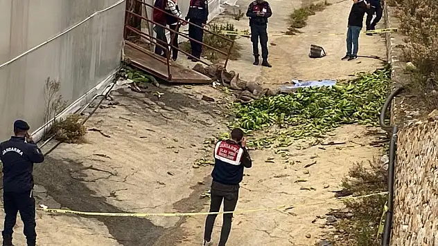 Muz serasında iş kazası: 2 ölü, 2 yaralı