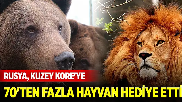 Rusya, Kuzey Kore'ye 70'ten fazla hayvan hediye etti