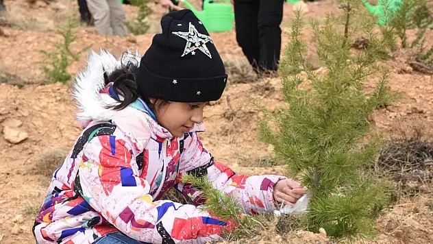 '81 İlde 81 Orman Projesi' kapsamında Konya'da fidan dikildi