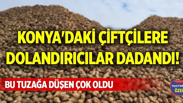 Konya'daki çiftçilere dolandırıcılar dadandı! Bu tuzağa düşen çok oldu