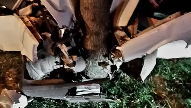 Otomobil refüjdeki direğe ve ağaca çarptı: 1 ölü, 2 yaralı