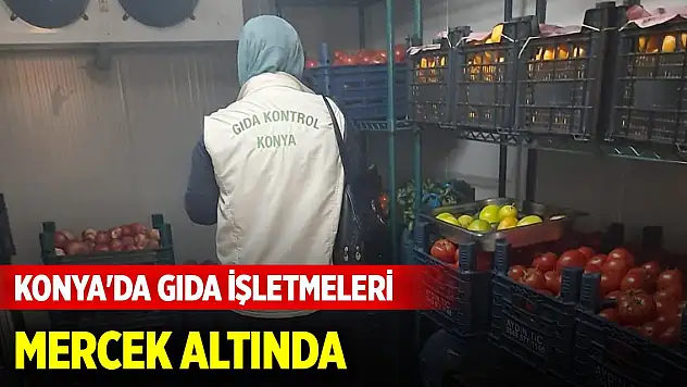 Konya'da gıda işletmeleri mercek altında