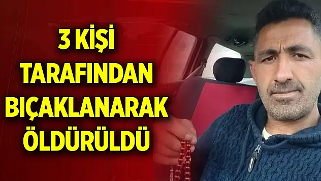 Ankara Çubuk'ta 3 kişi tarafından bıçaklanarak öldürüldü