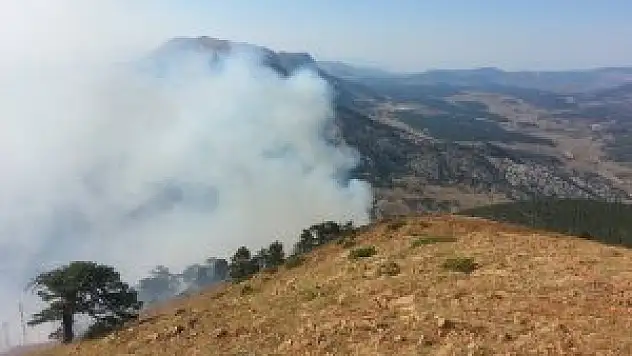 Konya'da çıkan orman yangını söndürüldü
