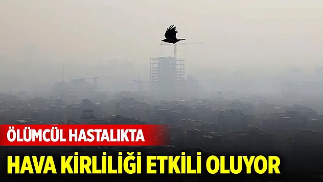 Hava kirliliği tetikliyor... Her yıl üç milyon insanın ölümüne yol açıyor