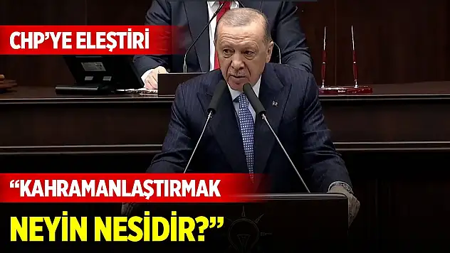 Cumhurbaşkanı Erdoğan'dan CHP'ye eleştiri: Kahramanlaştırmak neyin nesidir?