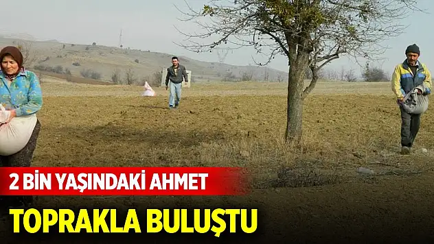 2 bin yaşındaki Ahmet, toprakla buluştu