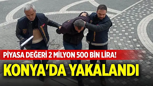 Piyasa değeri 2 milyon 500 bin lira! Konya'da yakalandı