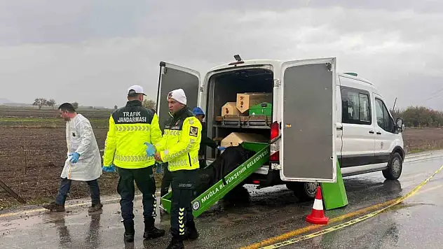 Yol kenarında ceset bulundu! Kimliği belirlendi