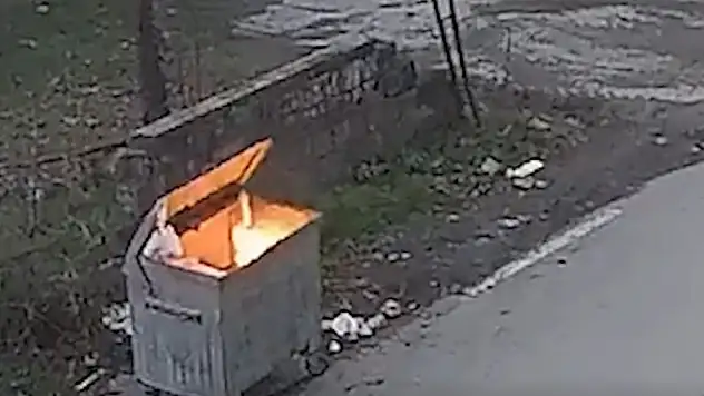 Çöp konteynerini ateşe verip kaçtı