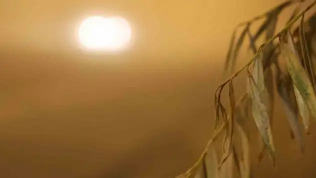 Aksaray'da yoğun sis: Görüş mesafesi 10 metreye kadar düştü