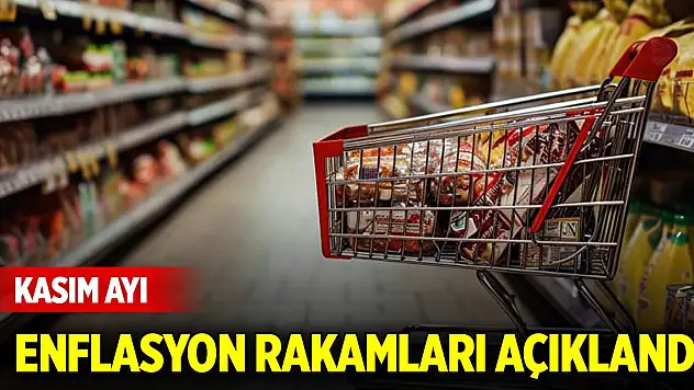 Son Dakika! Kasım ayı enflasyon rakamları açıklandı