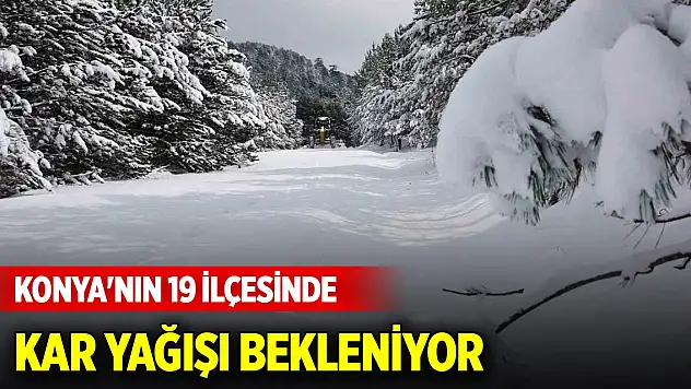 Meteoroloji müjdeyi verdi! Konya'nın 19 ilçesinde kar yağışı bekleniyor