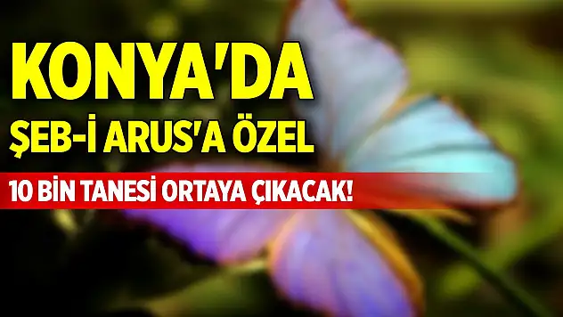 Konya'da Şeb-i Arus'a özel 10 bin tanesi ortaya çıkacak!