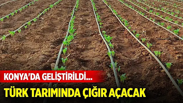 Konya'da geliştirildi... Türk tarımında çığır açacak